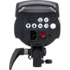 Вспышка студийная Elinchrom D-Lite RX 4 (400Дж)